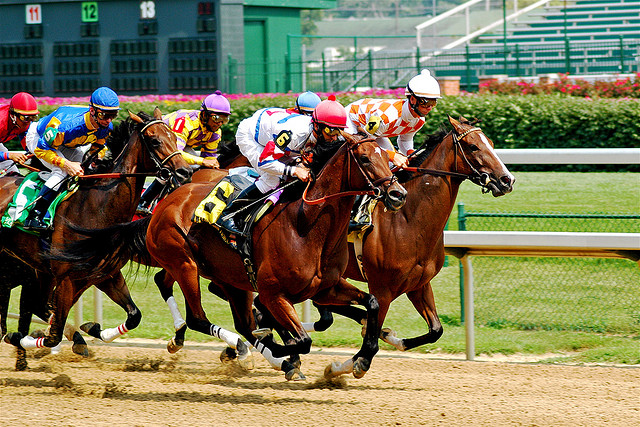 Will You Be Attending the 140th Kentucky Derby?