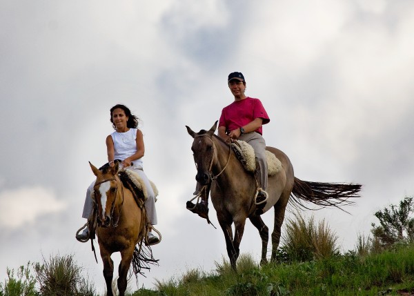 Horseback Ride for Better Blood Pressure