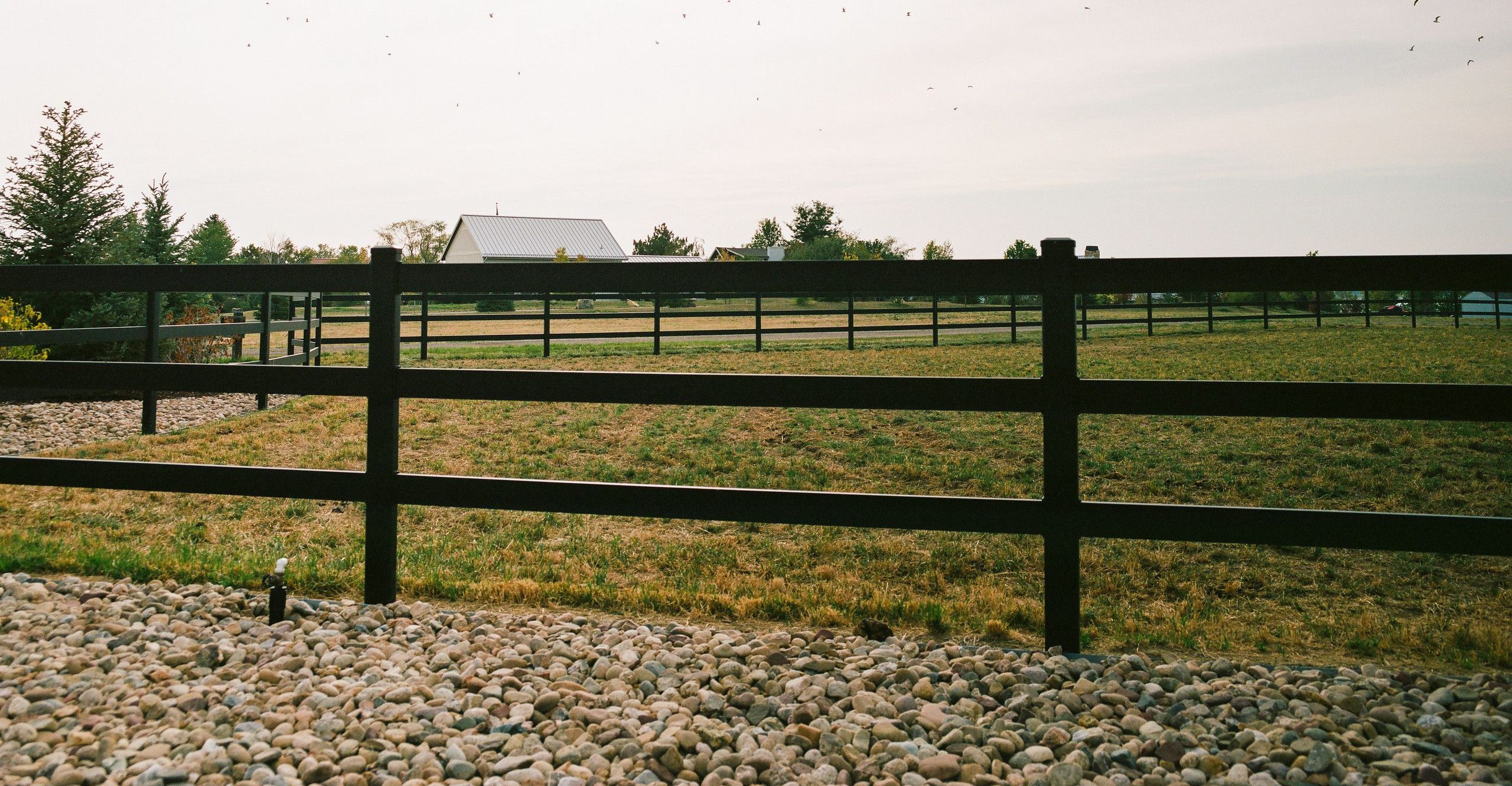 The Best Type of Fencing for Your Horses